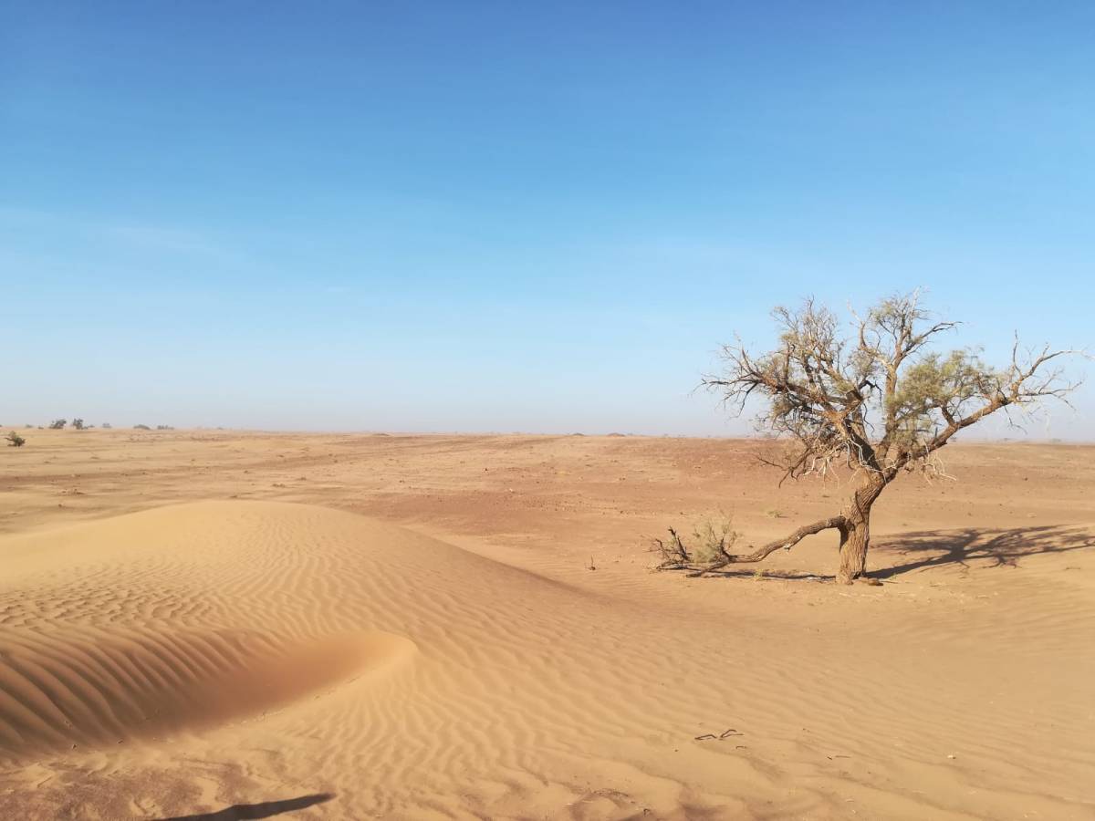Paysages du Sahara Marocain –&nbsp;Automne