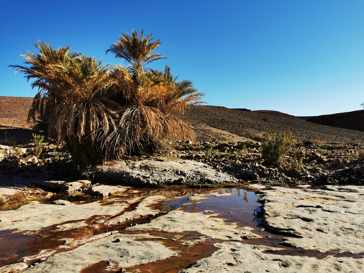 De retour au&nbsp;Sahara