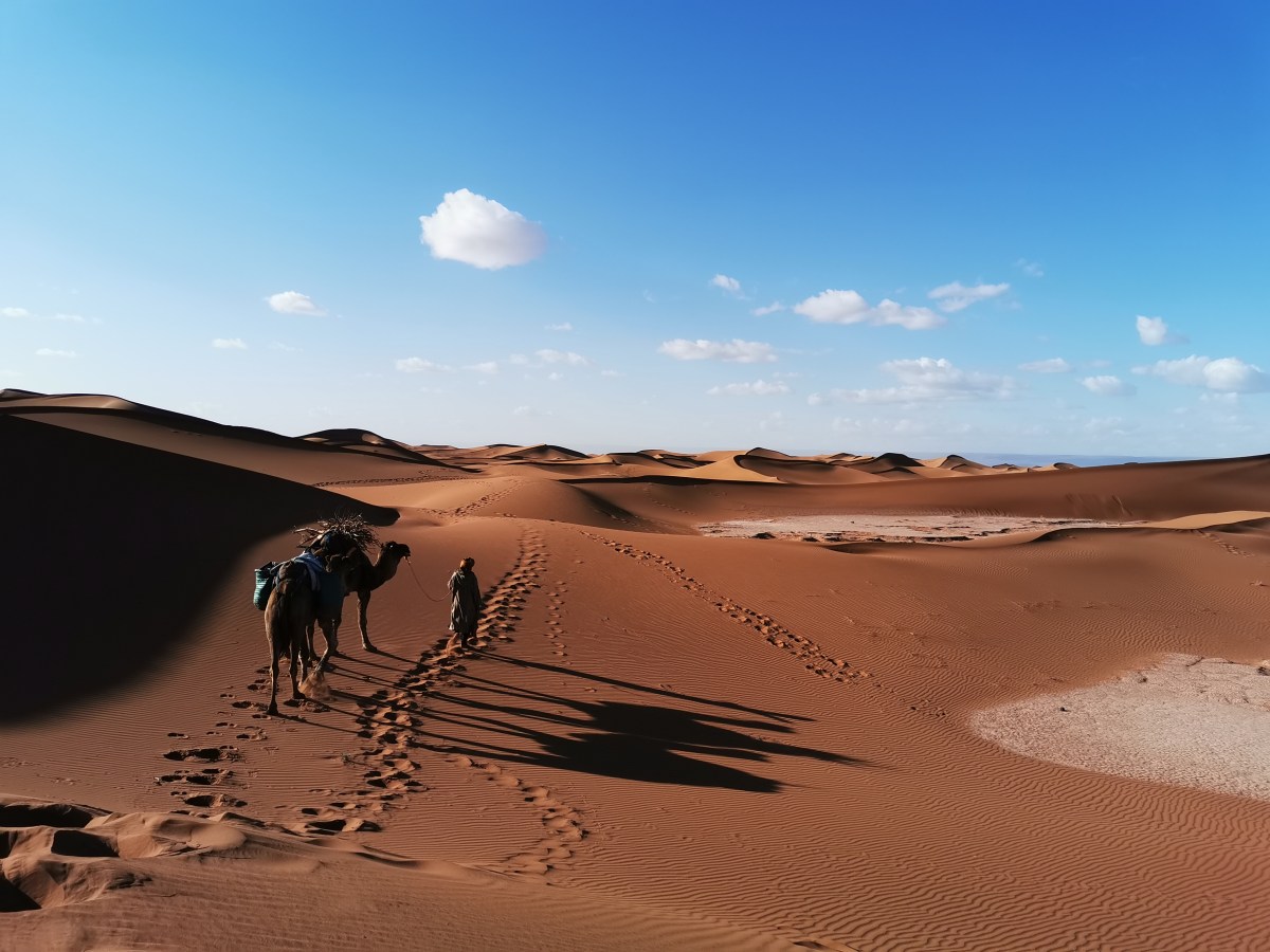 Sans détour… le&nbsp;Sahara