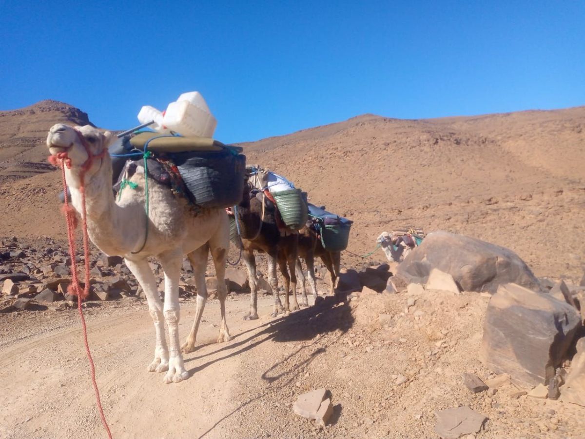 L&rsquo;aventure des randonneurs